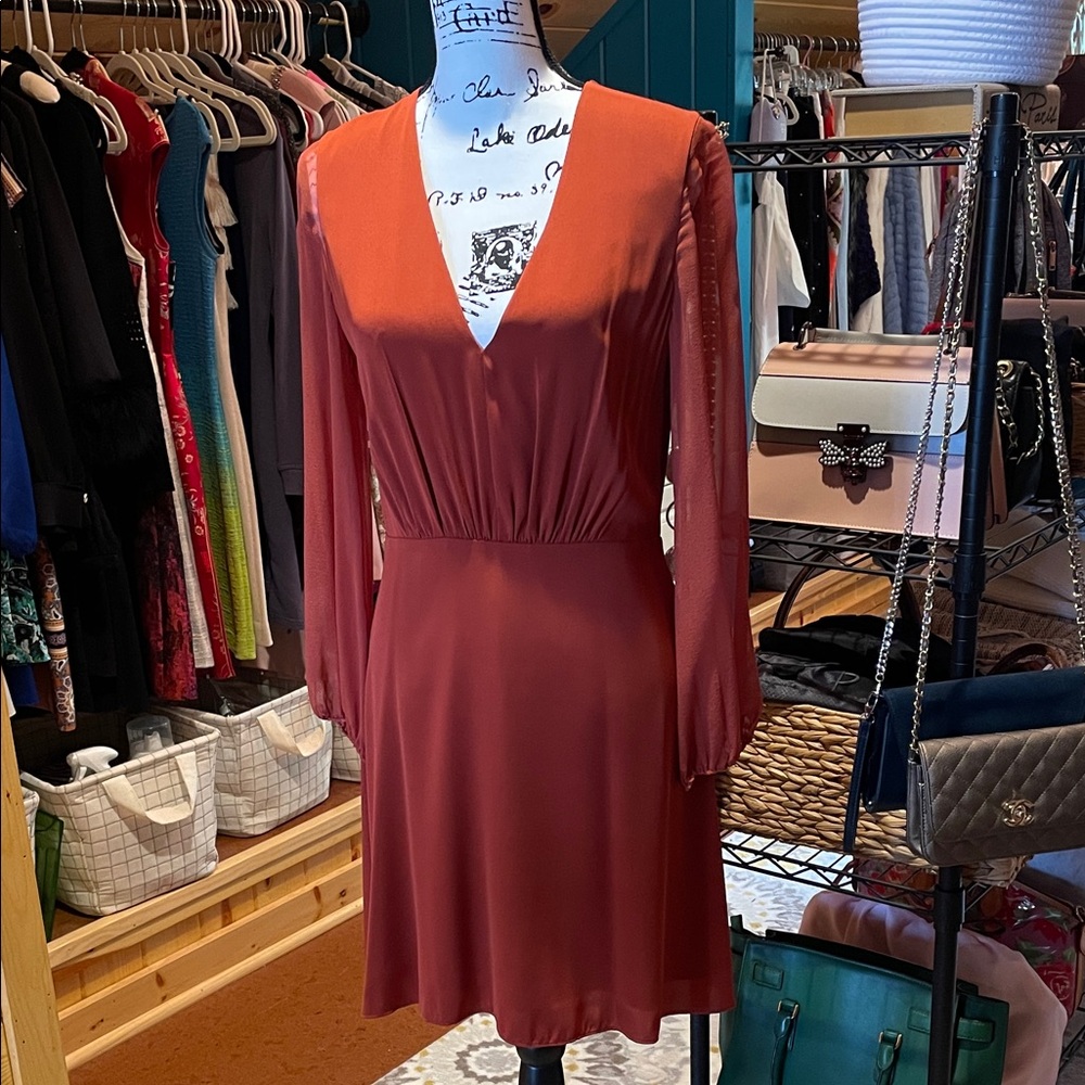 Alice + Olivia Rust Long Sleeve Dress